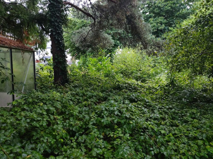 Offres de vente Terrain Rohan (56580)